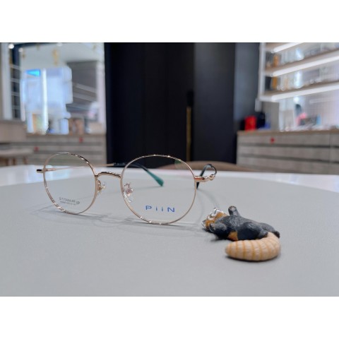 PiiN-V60056